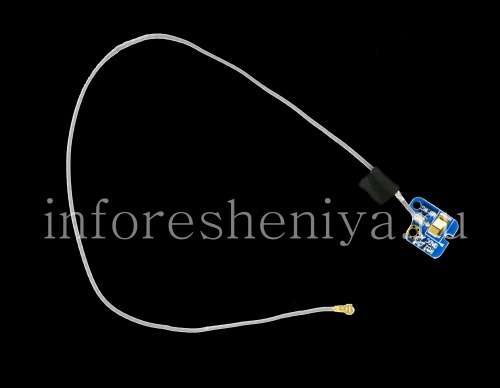 Photogallery for The antenna for the BlackBerry PlayBook Wi-Fi, Without color, gray cable product