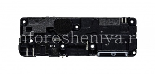 Photogallery for メディアスピーカーとアンテナ付きの底面パネルBlackBerry Motion product