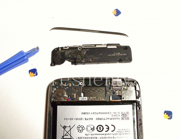 Разборка BlackBerry DTEK60/ Инструкция: Готово